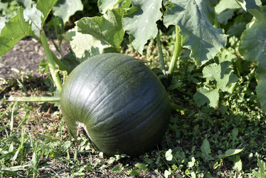 Similar image 21045935