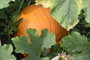 Similar image 21045937