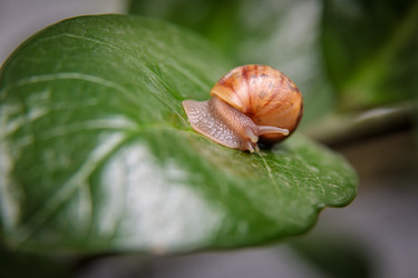 Similar image 21069593