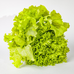 Similar image 21069612