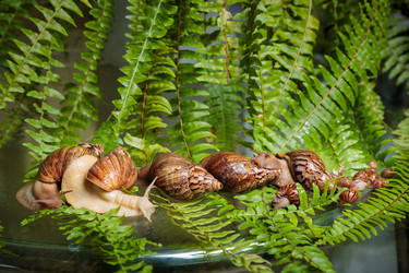 Similar image 21069613