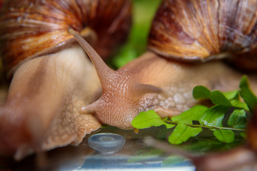 Similar image 21069617