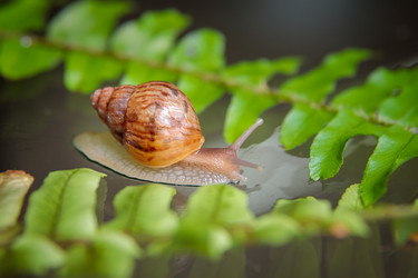 Similar image 21069639