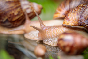 Similar image 21068110