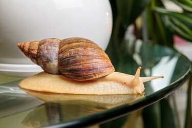 Similar image 21069757