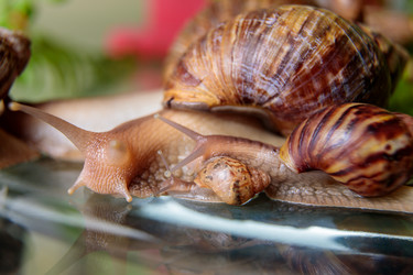 Similar image 21069758