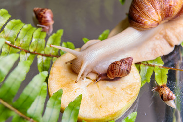 Similar image 21069761