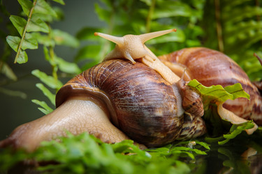 Similar image 21069770