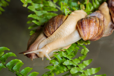 Similar image 21069772