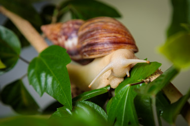 Similar image 21069776