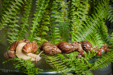 Similar image 21069777