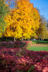 Similar image 21069794