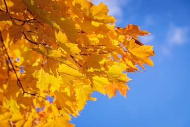 Similar image 21069943