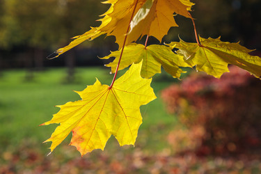 Similar image 21069947