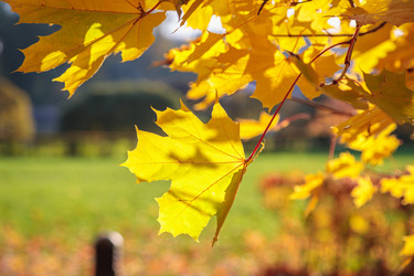 Similar image 21069955