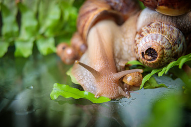 Similar image 21069964