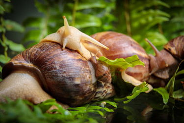 Similar image 21069965