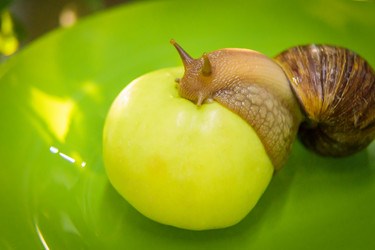 Similar image 21069970