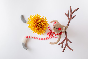 Similar image 21078901