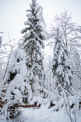 Similar image 21069619