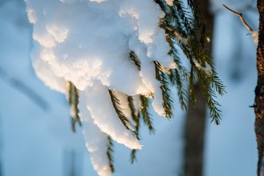 Similar image 21069621