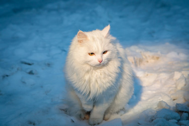 Similar image 21069623