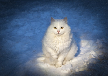 Similar image 21068112