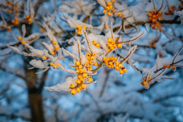 Similar image 21069644