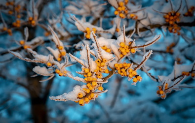 Similar image 21069971