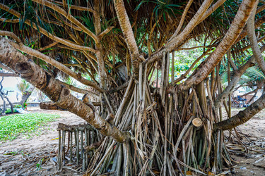 Similar image 21069997