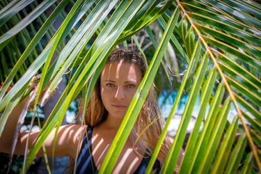 Similar image 21070639