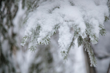 Similar image 21070642