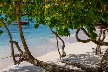 Similar image 21078923