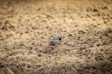 Similar image 21070001