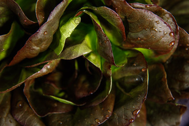 Similar image 21070841