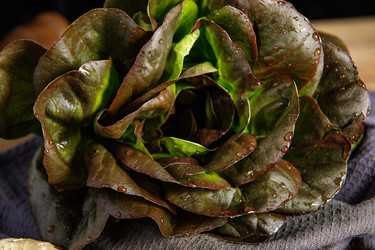 Similar image 21070842