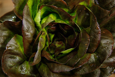 Similar image 21070847