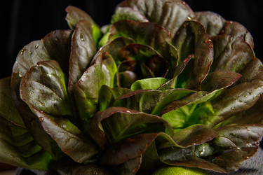 Similar image 21068386