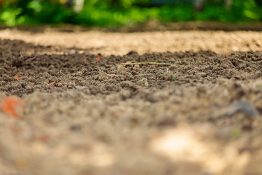 Similar image 21070891