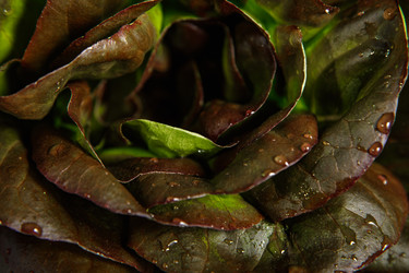 Similar image 21068406