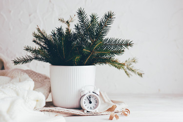 Similar image 21075463