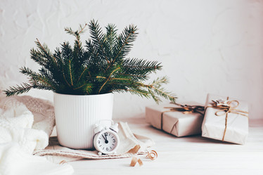 Similar image 21075464