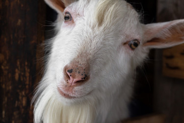 Similar image 21045263