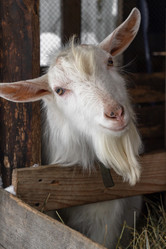 Similar image 21045945