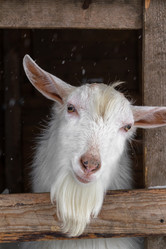 Similar image 21045948