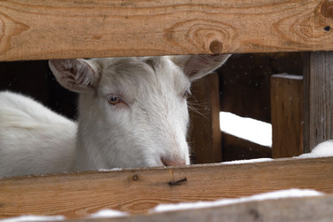 Similar image 21045279