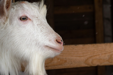 Similar image 21045280