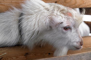 Similar image 21045281