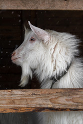 Similar image 21045950