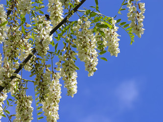 Similar image 21045535